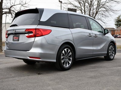 2023 Honda Odyssey EX-L